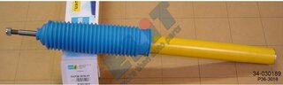 Bilstein 34-030189