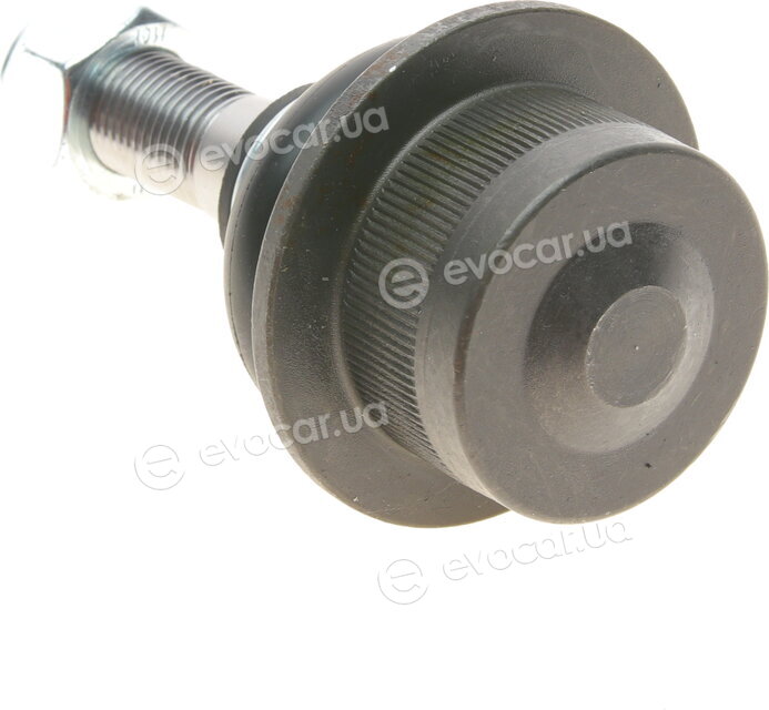 Kapimsan 31-23003