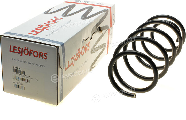 Lesjofors 4066824