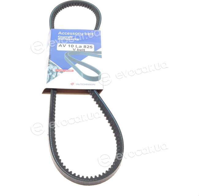 Hutchinson AV 10 La 825