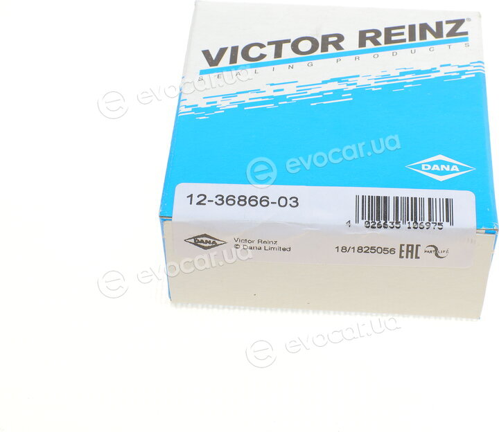Victor Reinz 12-36866-03