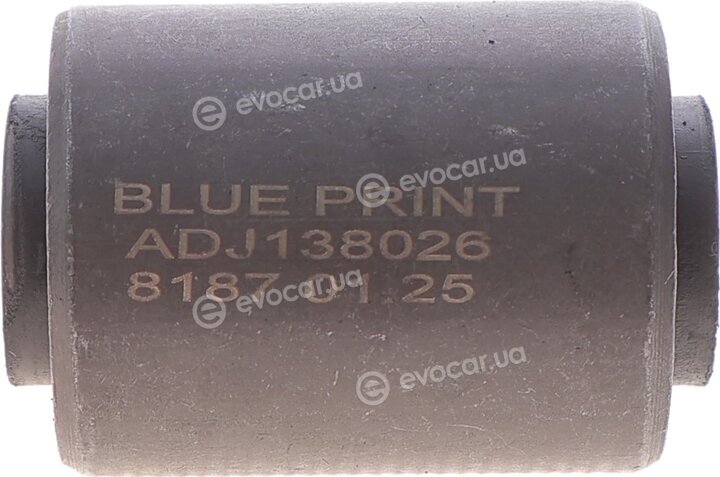 Blue Print ADJ138026