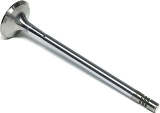 Gunes 4056