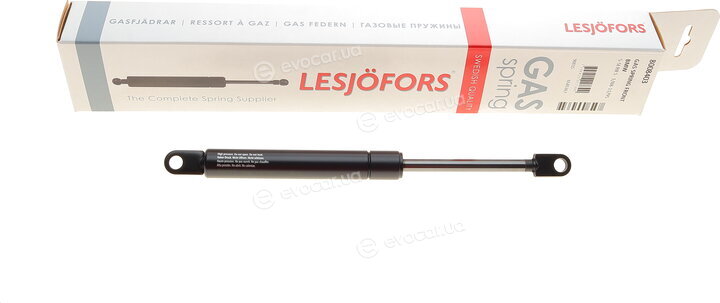 Lesjofors 8008403