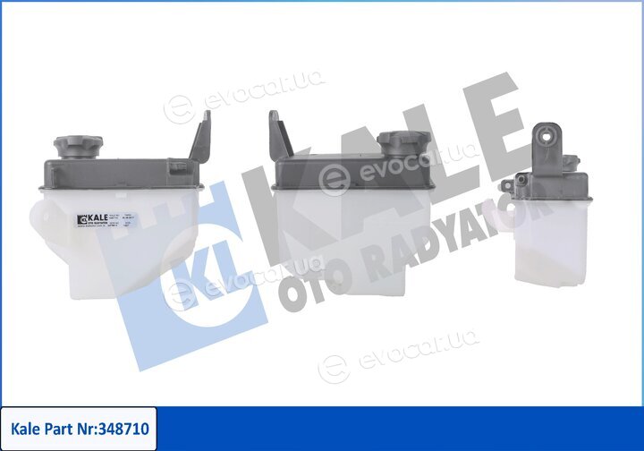 Kale 348710