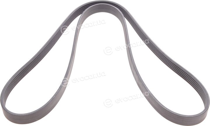 Continental 6PK1560