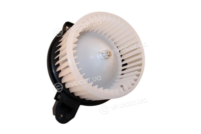 Walker / Fonos WBL00637