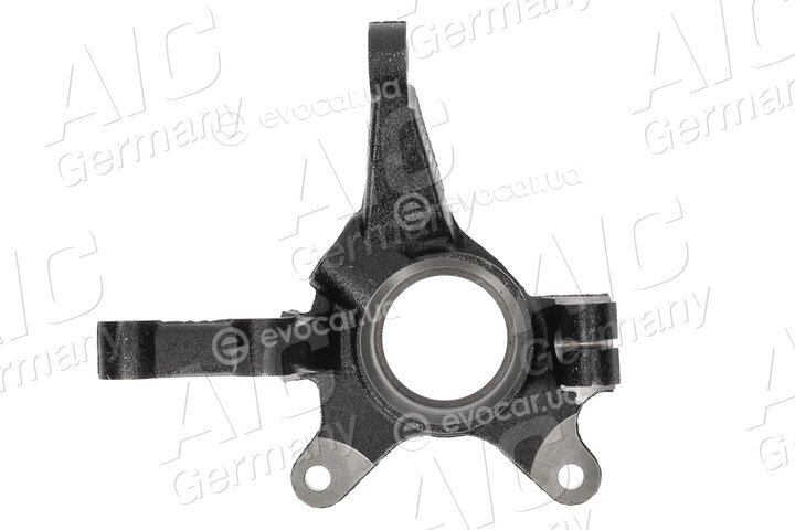 AIC 74666
