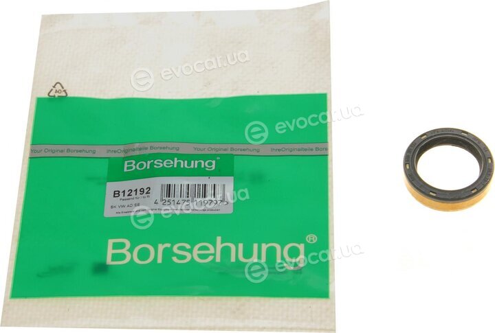 Borsehung B12192