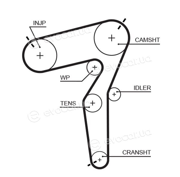 Gates K015684XS