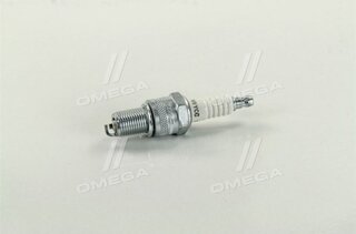 Champion OE004/T10