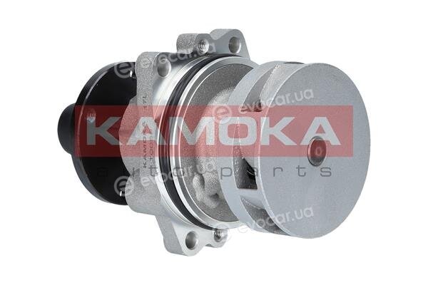 Kamoka T0058