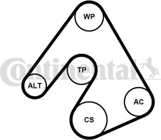 Continental 5PK1207WP1