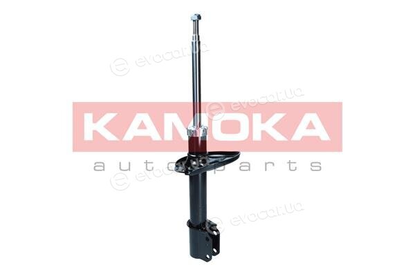 Kamoka 2001181
