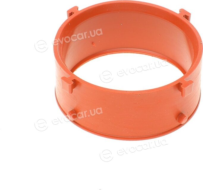 Solgy 113006