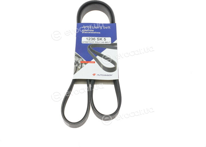 Hutchinson 1236 SK 5