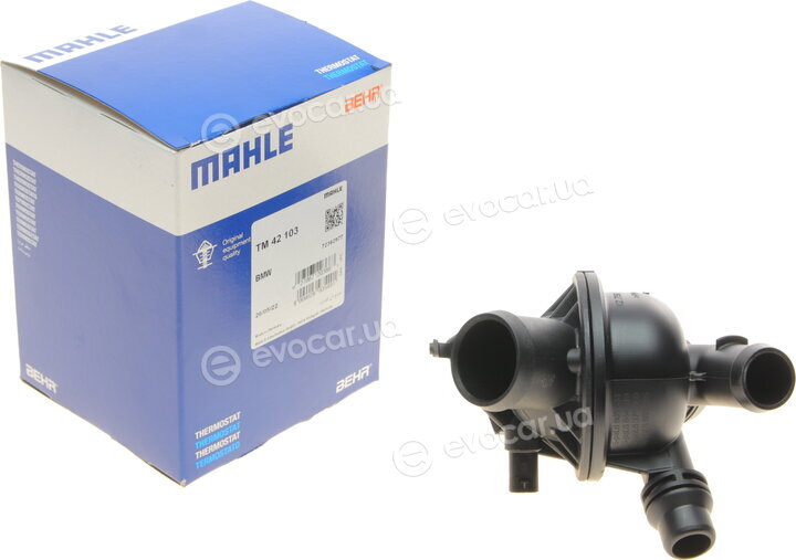 Mahle TM 42 103