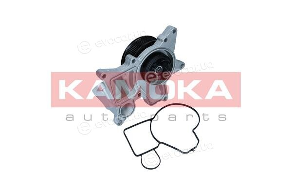 Kamoka T0298
