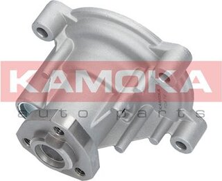 Kamoka T0272