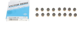 Victor Reinz 12-31306-12