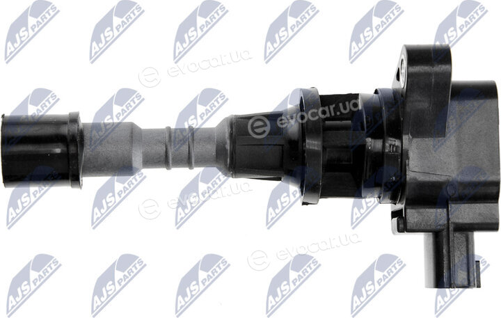 NTY ECZ-MZ-010