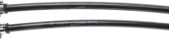 Solgy 119012