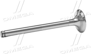 Gunes 4687