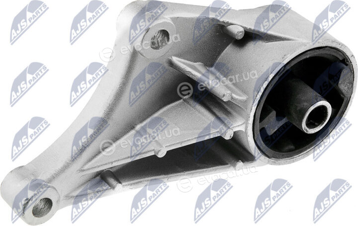 NTY ZPS-PL-013