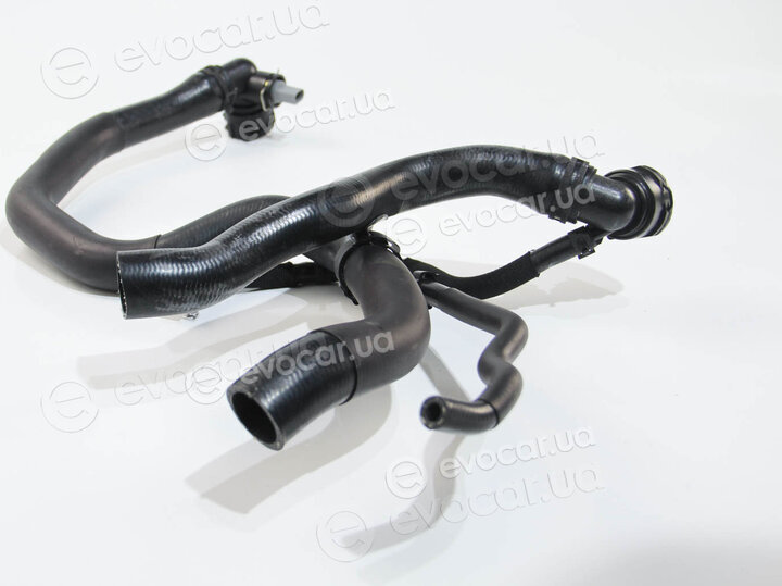 Rapro R25867