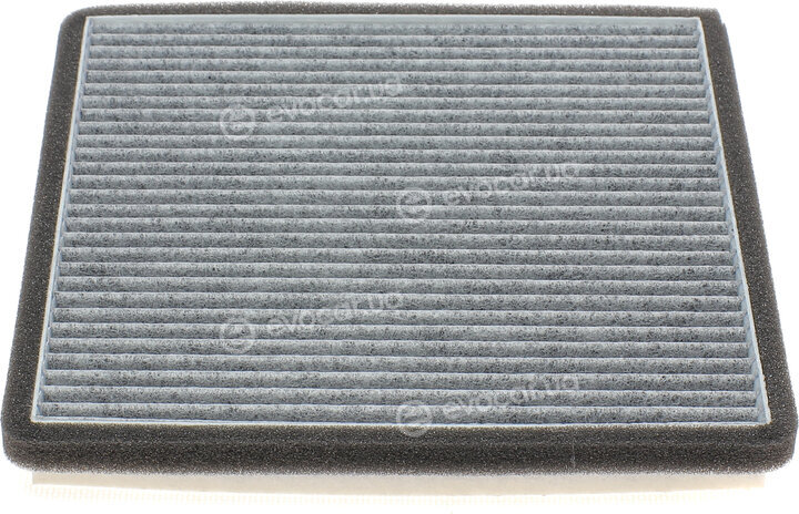 Blue Print ADG02589