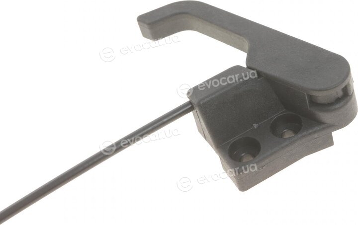 Solgy 305022
