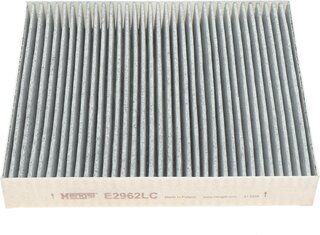 Hengst E2962LC