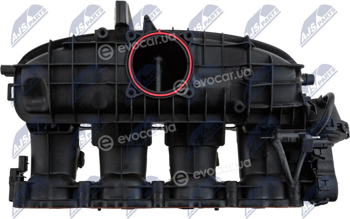 NTY BKS-VW-021