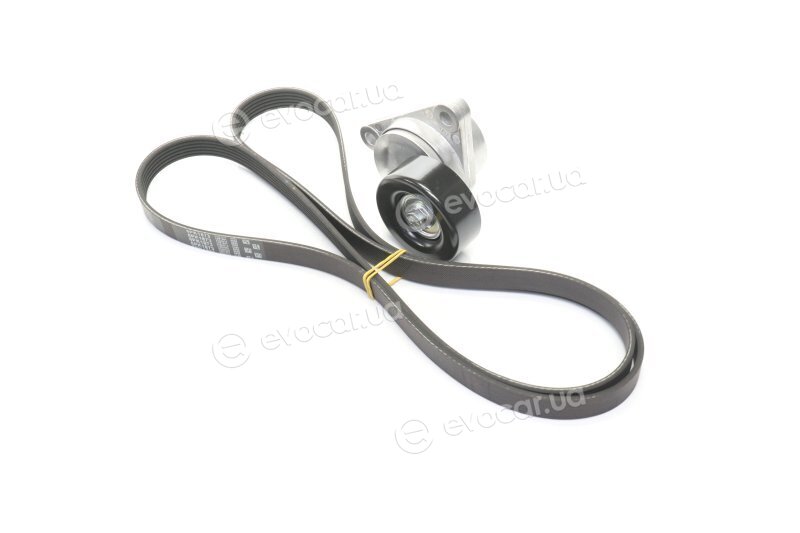 Gates K036PK1873