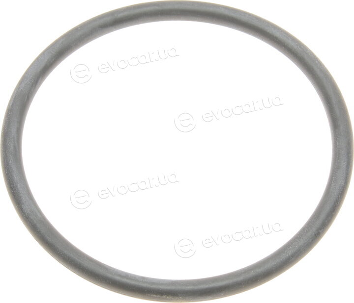 BMW / Mini 1151-1711-484