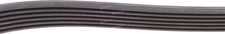 Continental 6PK1244