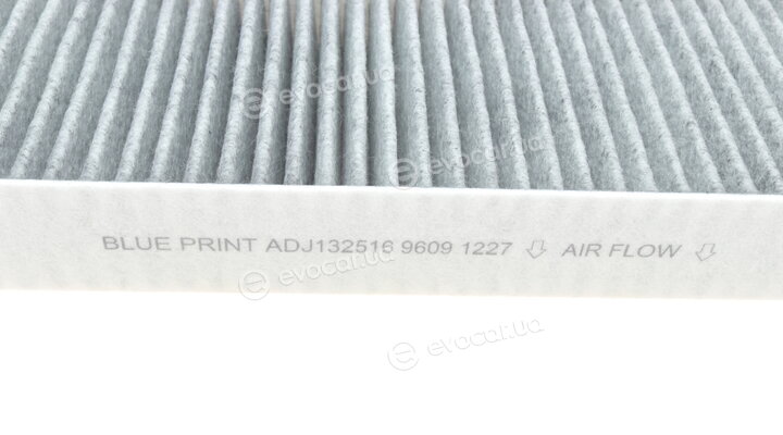 Blue Print ADJ132516