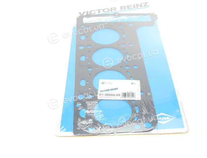 Victor Reinz 61-36950-00