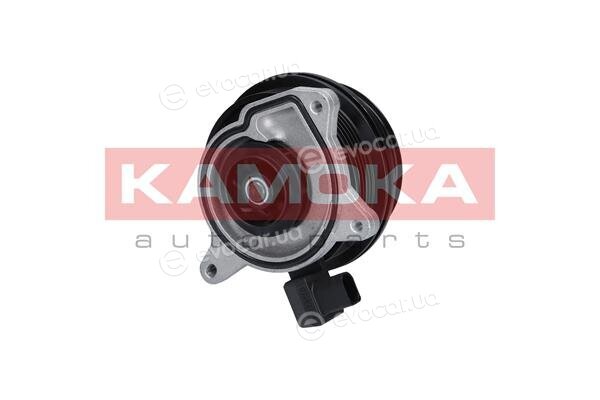 Kamoka T0278