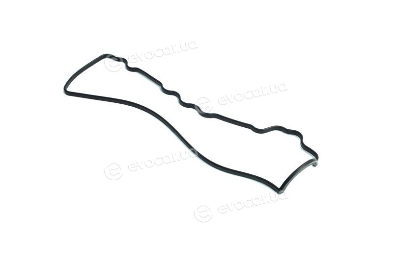 Elring 560.073