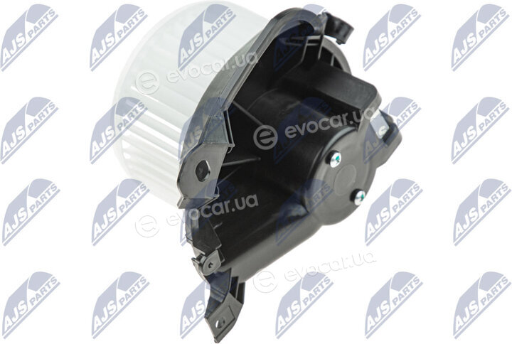 NTY EWN-PL-001