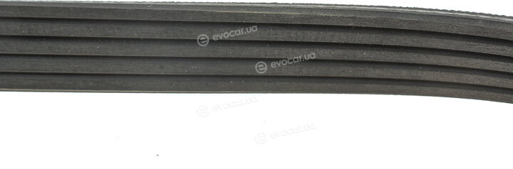 Gates 5PK1013