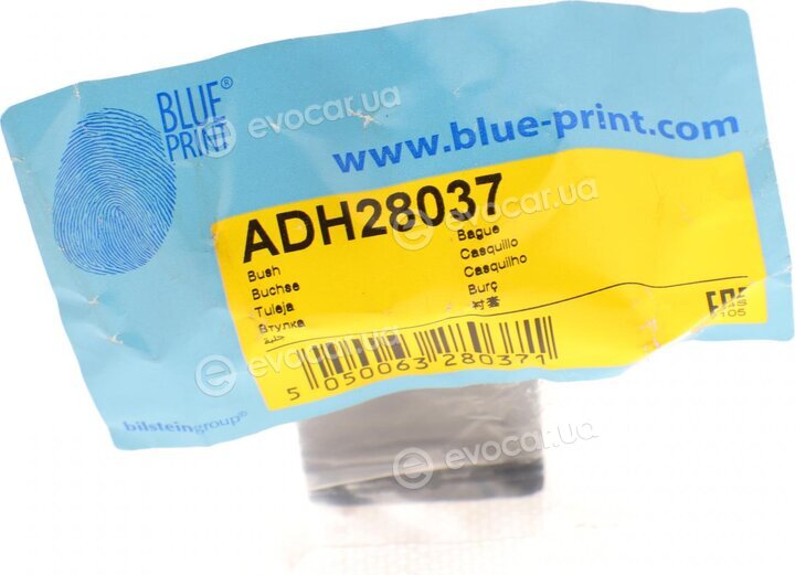 Blue Print ADH28037