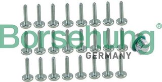 Borsehung B12749