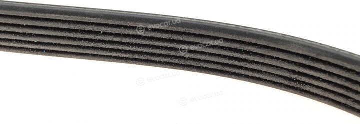 Dayco 6PK2170