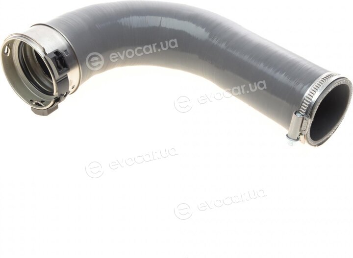 Solgy 114203