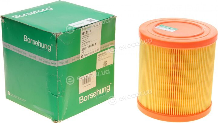 Borsehung B12813