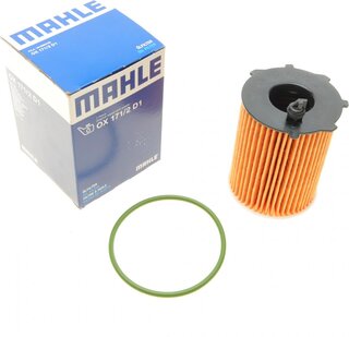 Mahle OX 171/2D1