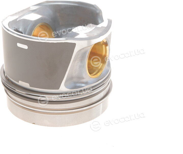 Mahle 028 PI 00116 002