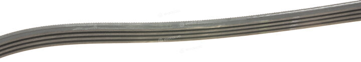 Gates 4PK1183